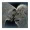 Stupell Industries White Lion Love Canvas, design by Collin Bogle